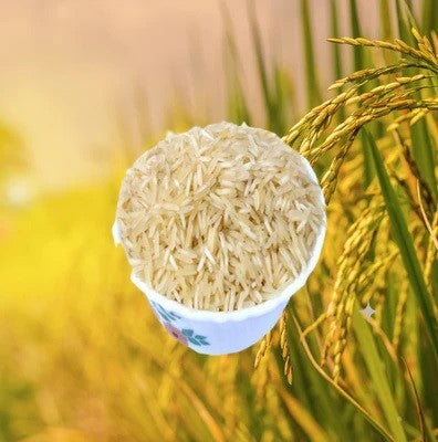  Biriyani Special Golden Sella Basmati Rice - Extra Long Grain | Premium Quality