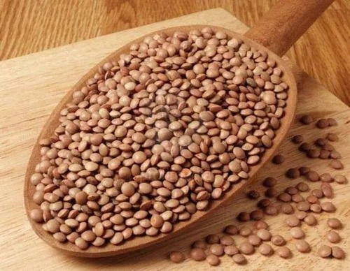 Whole/Gota Masoor - Brown Lentils 1kg