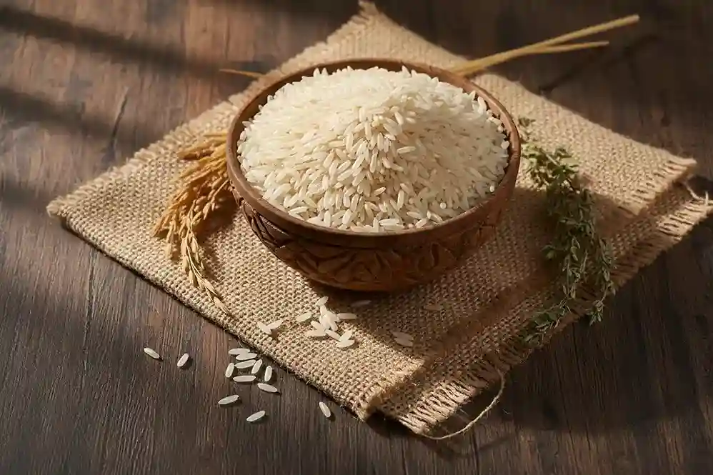 DUDHESHWAR RICE