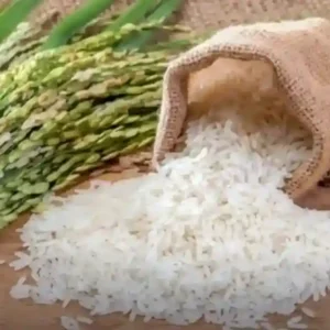 husking baskati rice